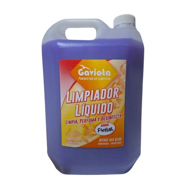 COMBO LIMPIEZA - Imagen 5