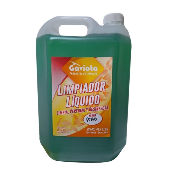 COMBO LIMPIEZA - Imagen 8