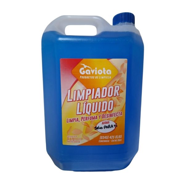 COMBO LIMPIEZA - Imagen 7