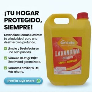 Lavandina Común - 5 Litros