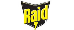raid